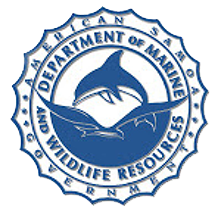 DMWR Logo