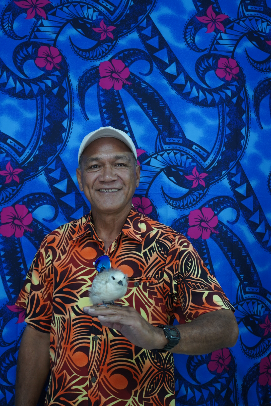 Ailao Tualaulelei